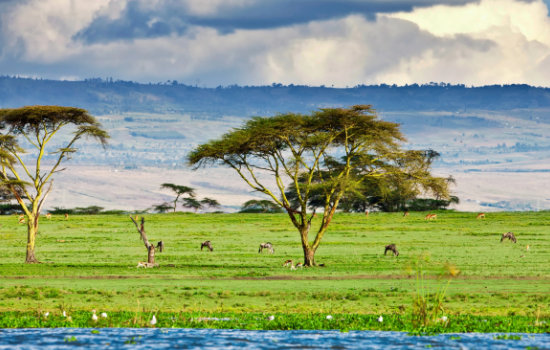 Packliste für Kenia