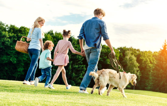 Packliste für Center Parcs