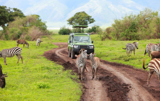 Packliste für die Safari